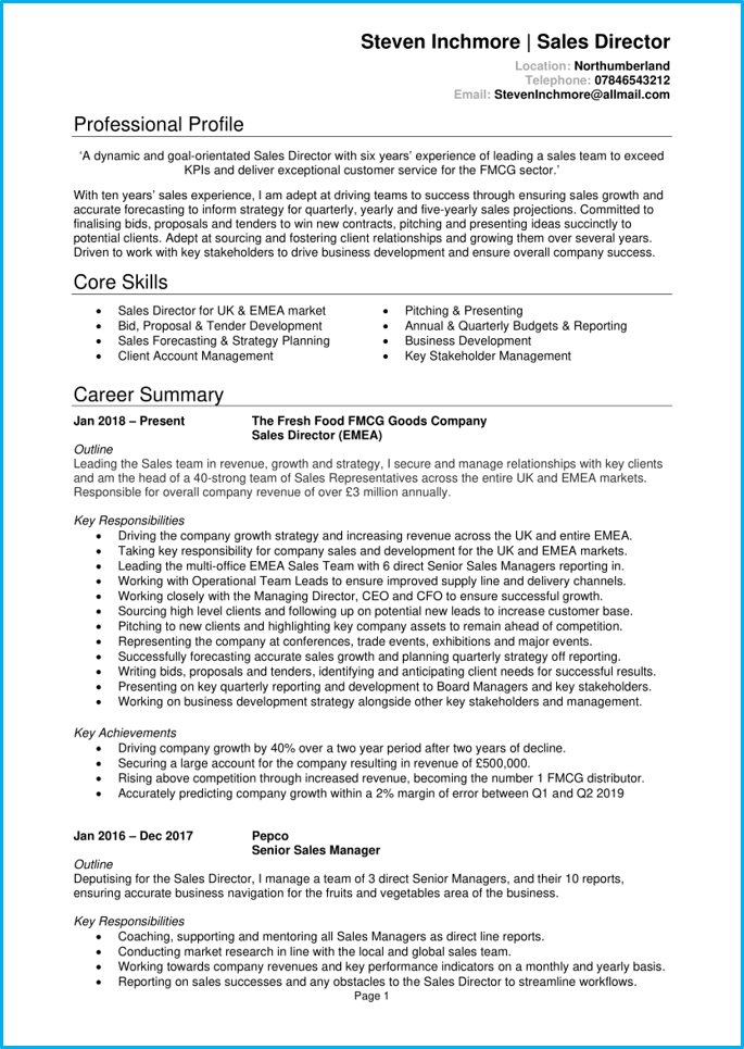 best resume format for director level