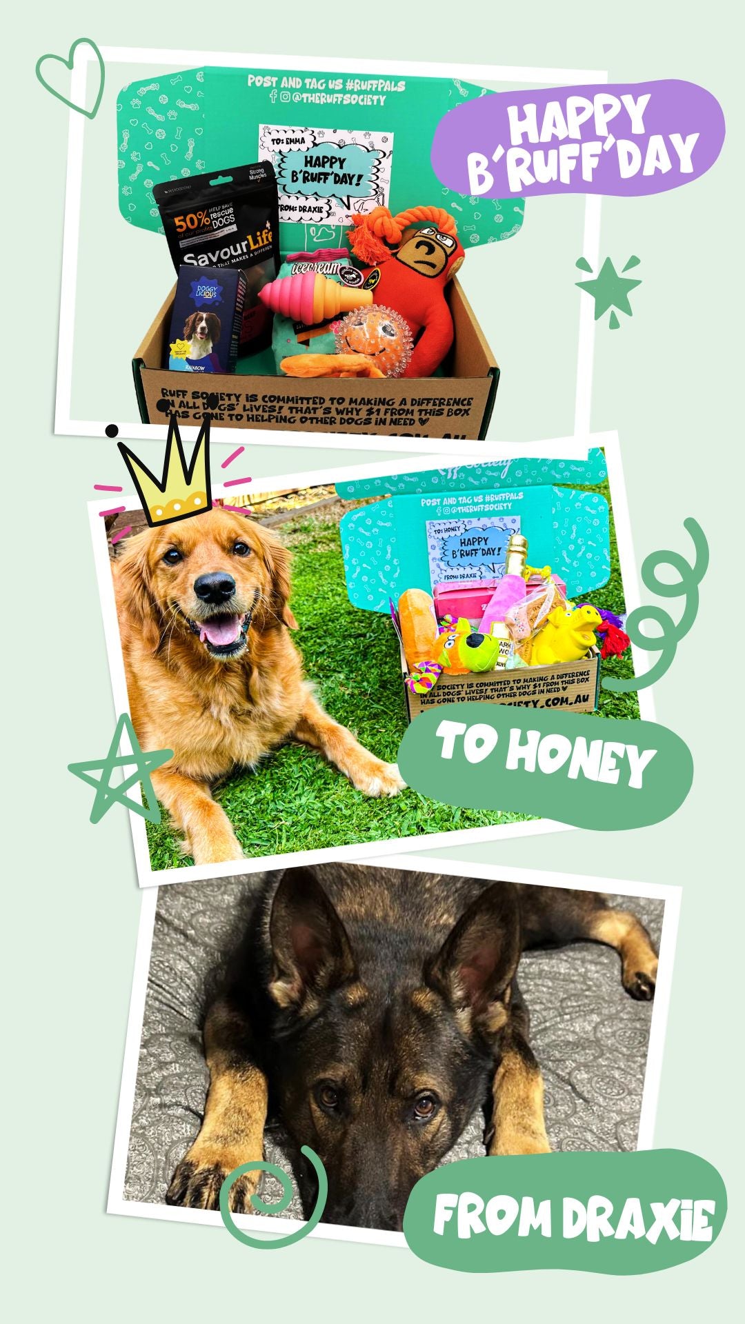 happy dog gift box dog to dog.jpg__PID:70a5d1c2-d3a9-4d65-957c-f384f2622387