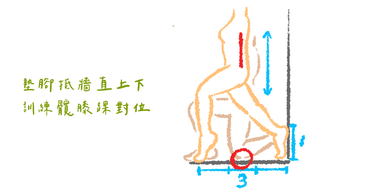 墊腳抵牆直上下 訓練髖膝踝對位