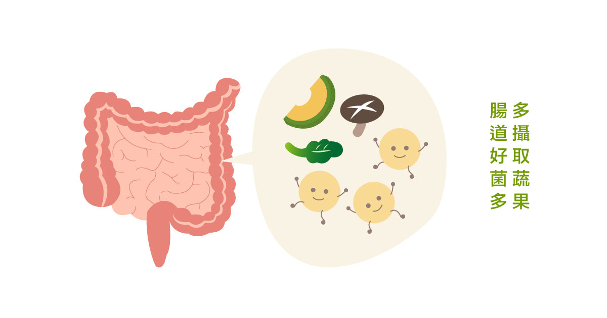 多攝取蔬果 腸道好菌多