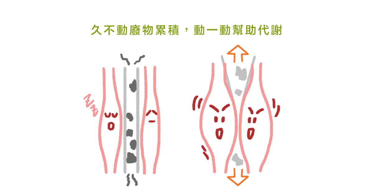 九不動廢物累積，動一動幫助代謝