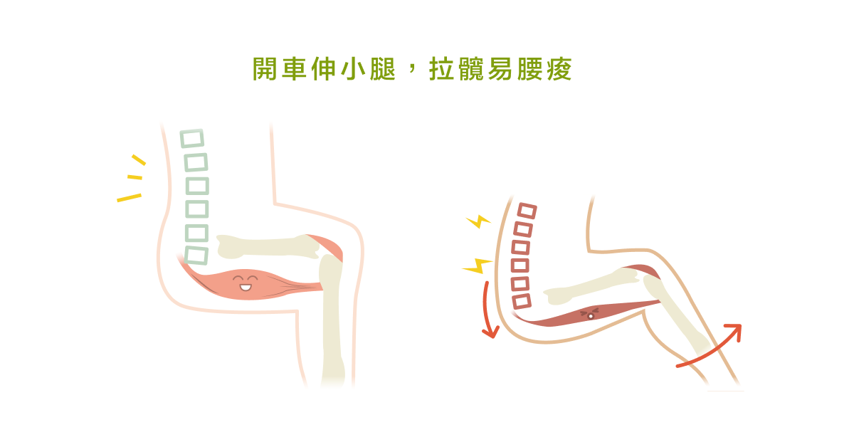 開車伸小腿，拉髖易腰痠