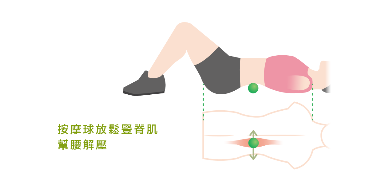 按摩球放鬆豎脊肌 幫腰解壓