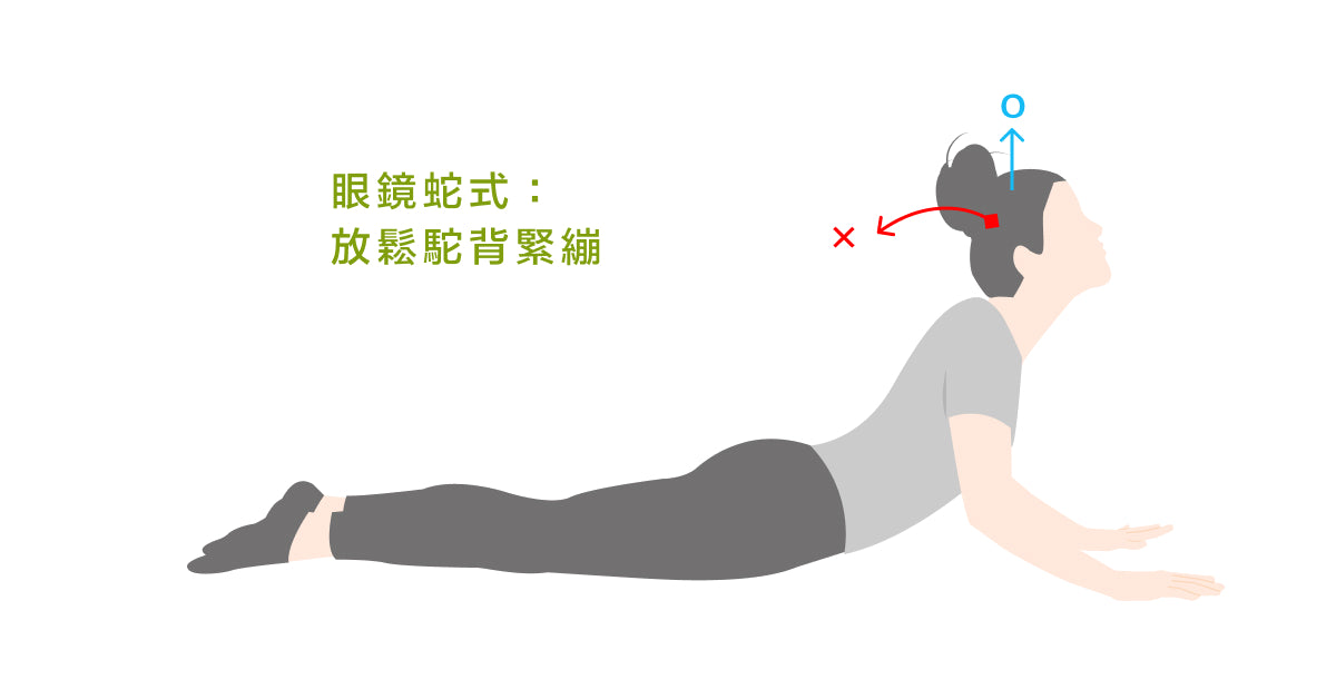 眼鏡蛇式 放鬆駝背緊繃