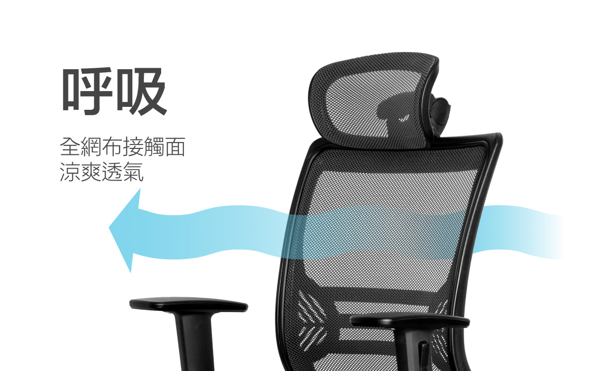 Core核心椅 網布