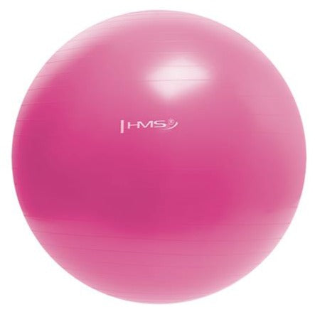 Minge fitness pentru gimnastica HMS YB01 55 cm