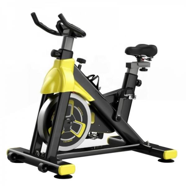 Bicicleta fitness indoor cycling FitTronic SB5000