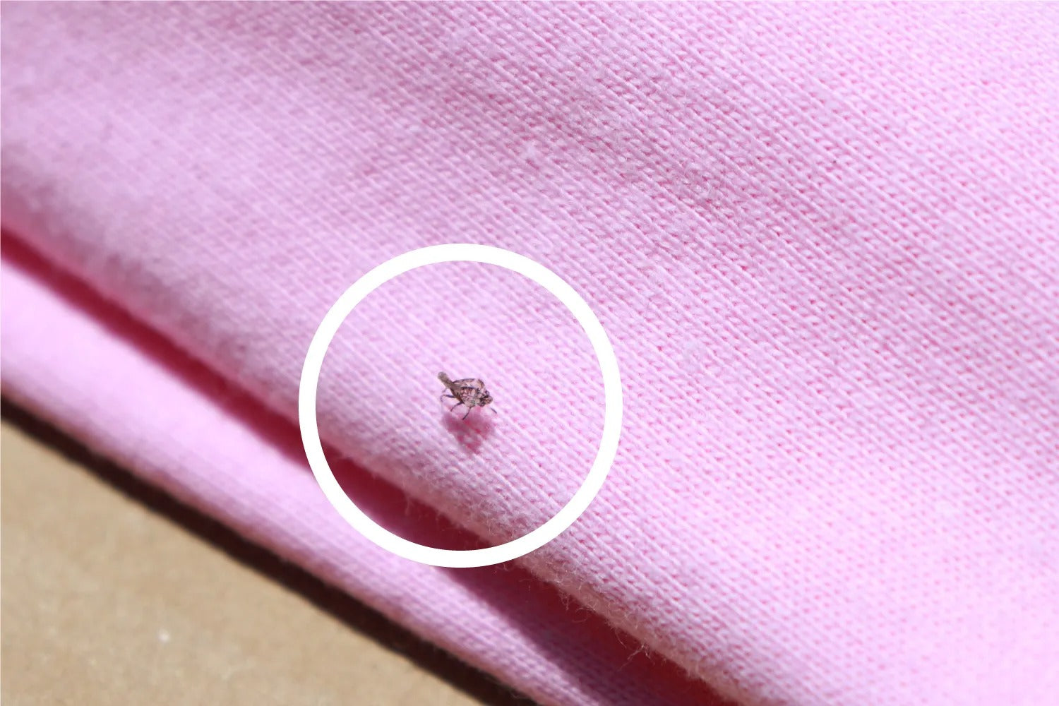 Tシャツ ピンク色 虫
