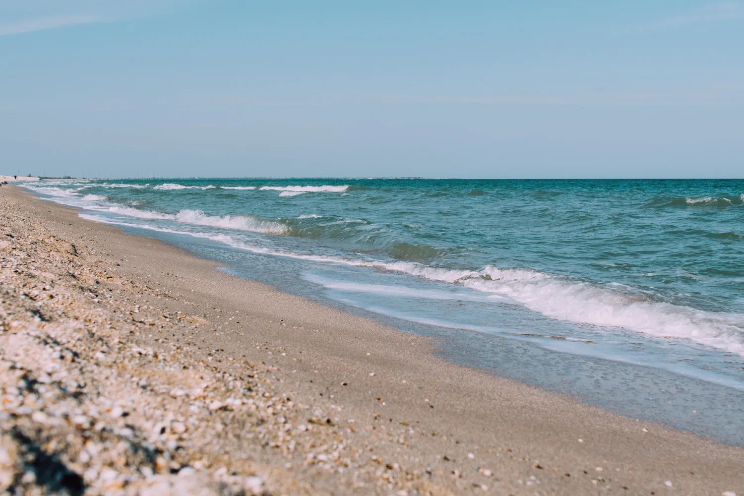 夏の海