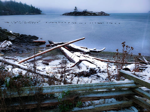 Indian Island Orcas Snow on solstice