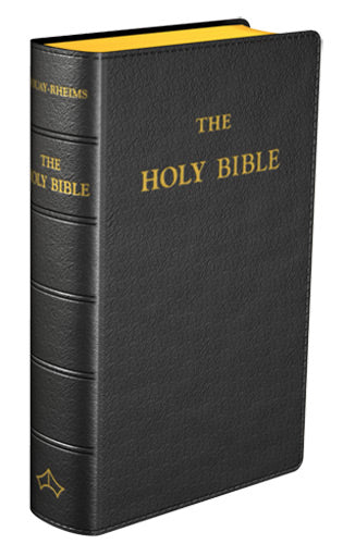 roman catholic bible