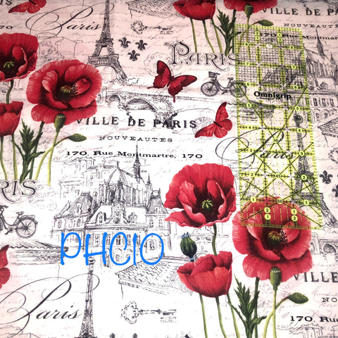 red poppies and Paris icons on white
