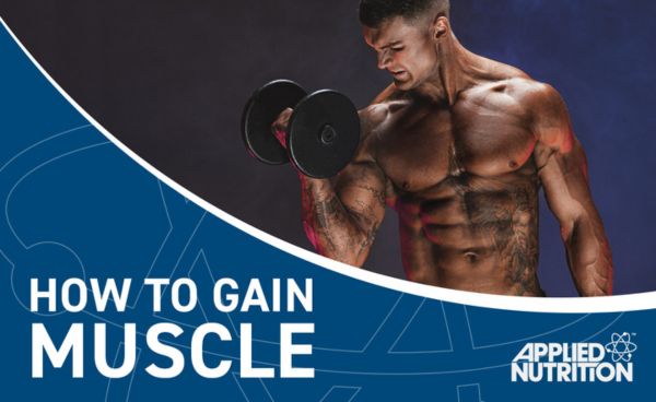 What is the key to building muscle? – Applied Nutrition Ltd