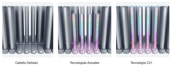 Tecnología reconstructora de puentes capilares