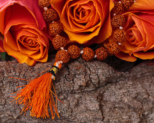 Mala - Rudraksha - Small - 8mm 2