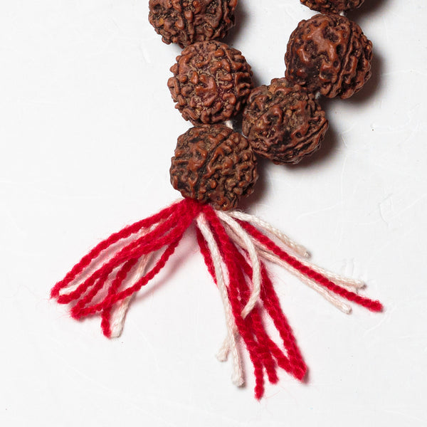 Mala - Rudraksha - Medium - 56 Beads 2