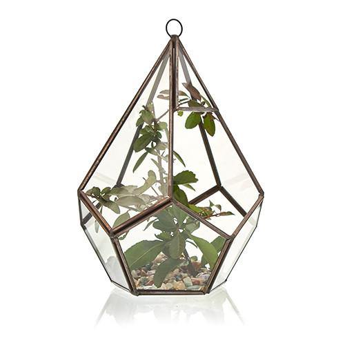 Glass Terrarium - Pentagon 0