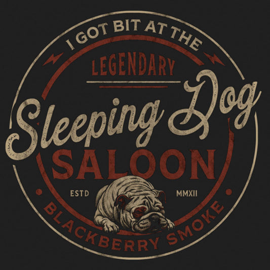 SLEEPING DOGS (TRADUÇÃO) - Blackberry Smoke 