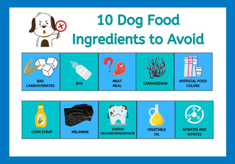 10 Dog Food Ingredients to Avoid