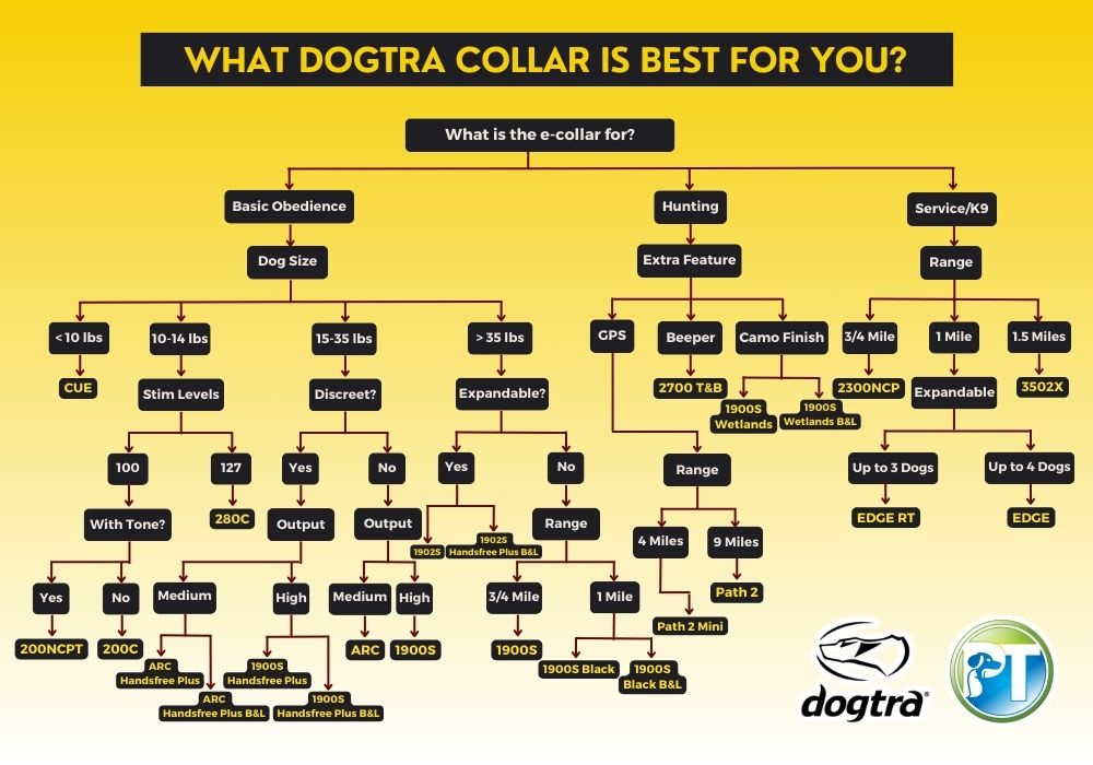 2024 Dogtra Collar Buying Guide Flow Chart