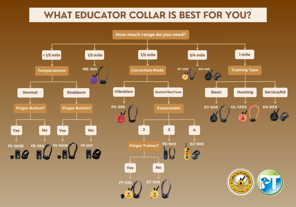 2024 Educator Collar Buying Guide Flow Chart
