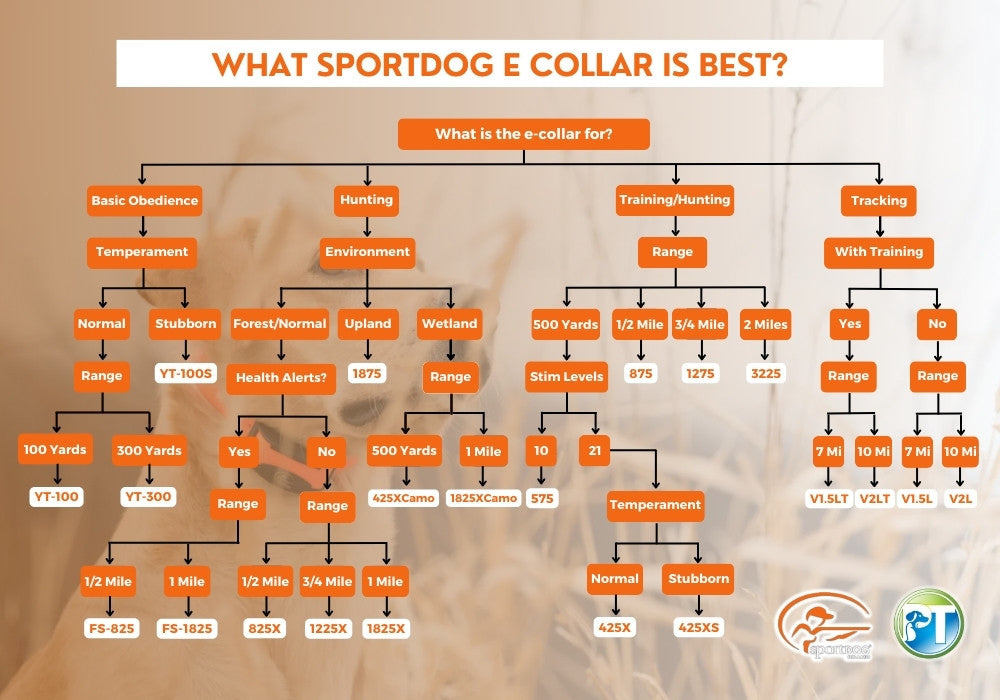 2024 SportDOG Collar Buying Guide Flow Chart