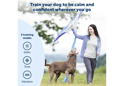 3 Training Modes of PetSafe E-Collars