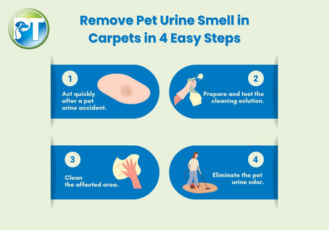 4 Steps to Remove Pet Urine in Carpets