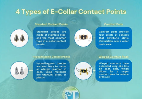 4 Types of E-Collar Contact Points Infographic Chart