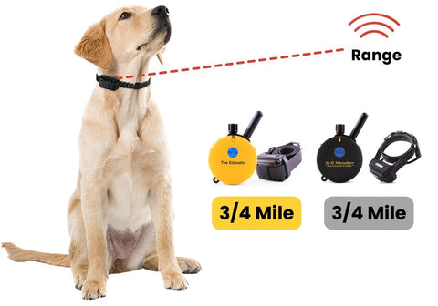 A Golden Retriever with an E-Collar Beside the ET-400 and K9-400 Transmitters Showing Respective Ranges