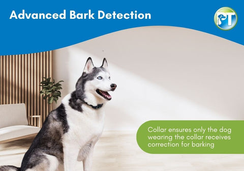 Advanced Bark Detection Illustration