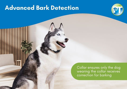 Advanced Bark Detection Illustration