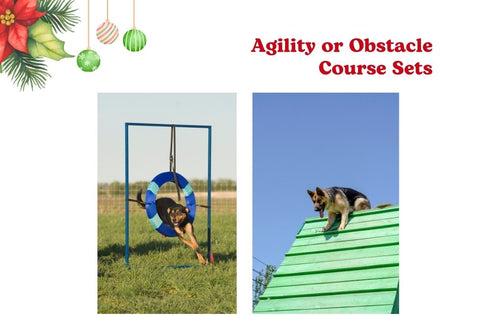 Agility or Obstacle Course Sets for Dogs