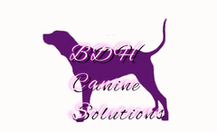 BDH Canine Solutions Logo