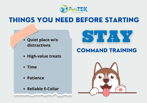 Before Starting Stay Training Infographic