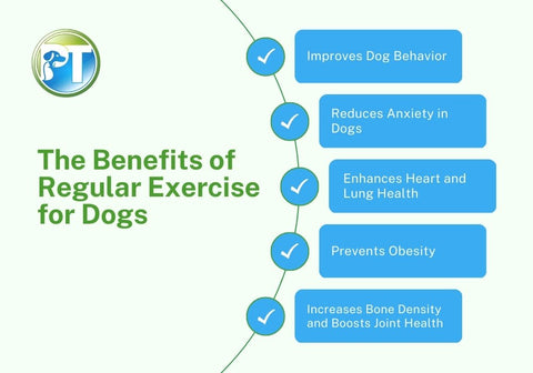 Benefits of Regular Exercise for Dogs Chart