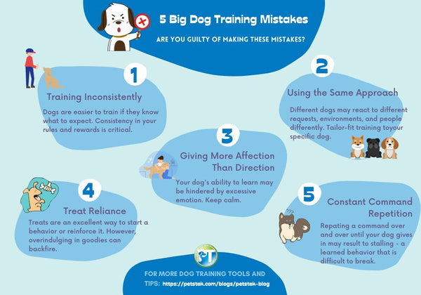 Training Mistakes Infographic