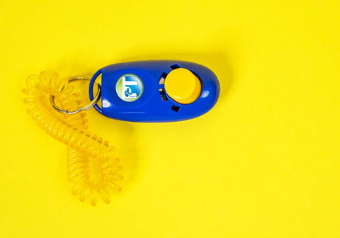Blue Clicker with PetsTEK Logo on Yellow Background