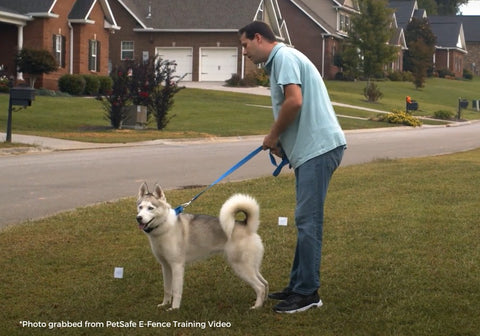 Boundary Introduction, Dog on Leash