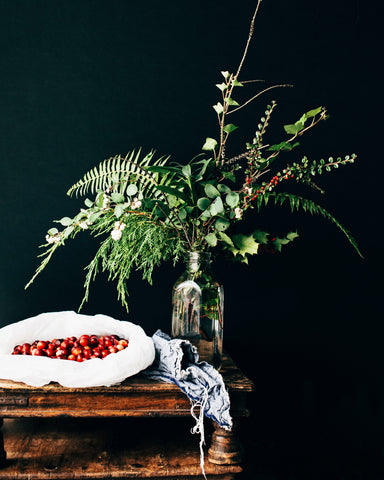 Bowl of Cranberries Beside Green House Plant in Vase