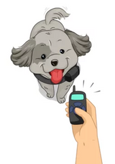 Cartoon of Small Gray Dog with Remote Training Collar