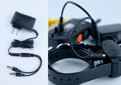 Remote Transmitter and Receiver Collar Connected to a Charger