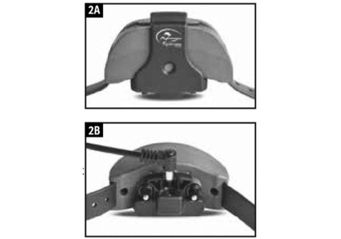 Charging the SportDOG SD-1825X Receiver