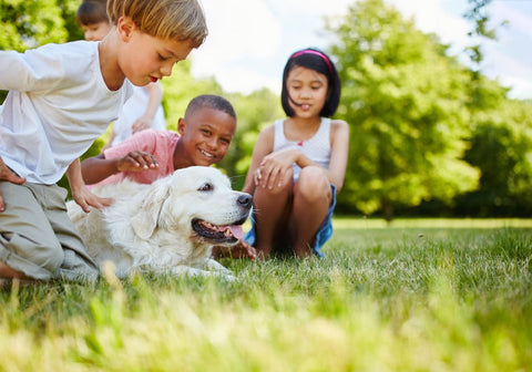 Children Petting a Golden Retriever