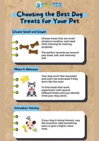 How to Choose the Best Treats for Your Pet Infographic