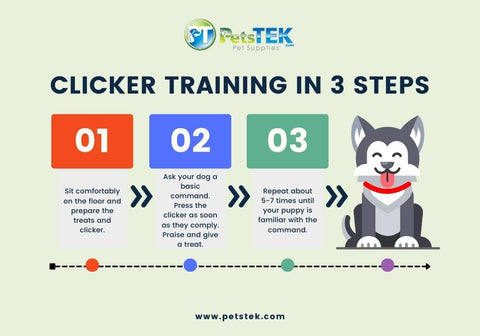 Clicker Training in 3 Steps Infographic