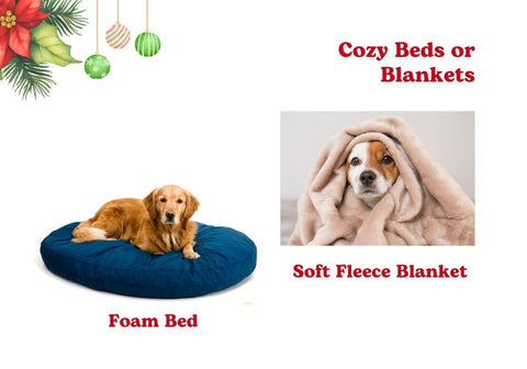 Cozy Beds or Blankets for Dogs