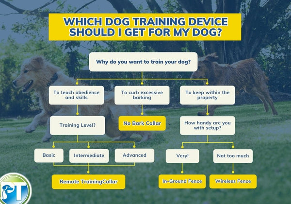 Deciding on What Dog Training Device to Buy Flowchart