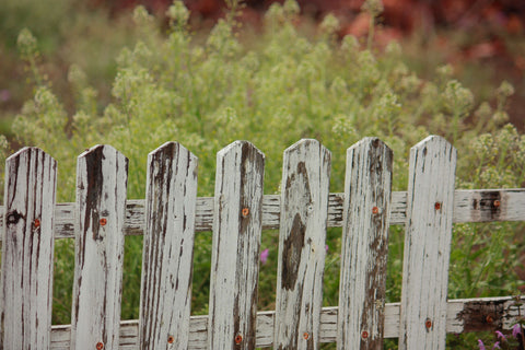 Dirty and Broken Wooden Fence