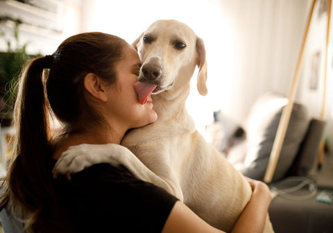 Dog Hugging and Licking Woman